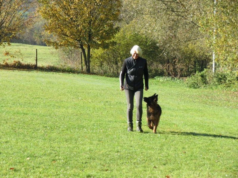 Begleithundeprüfung Herbst 2015