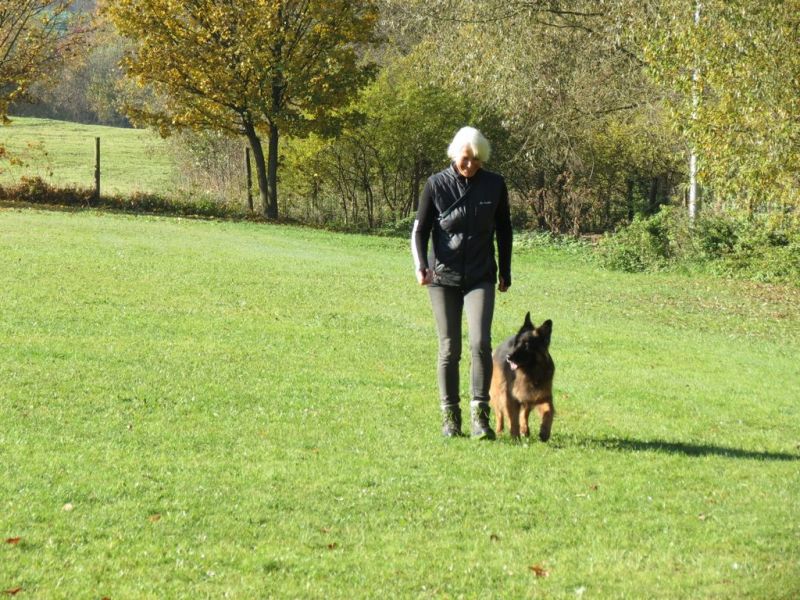 Begleithundeprüfung Herbst 2015