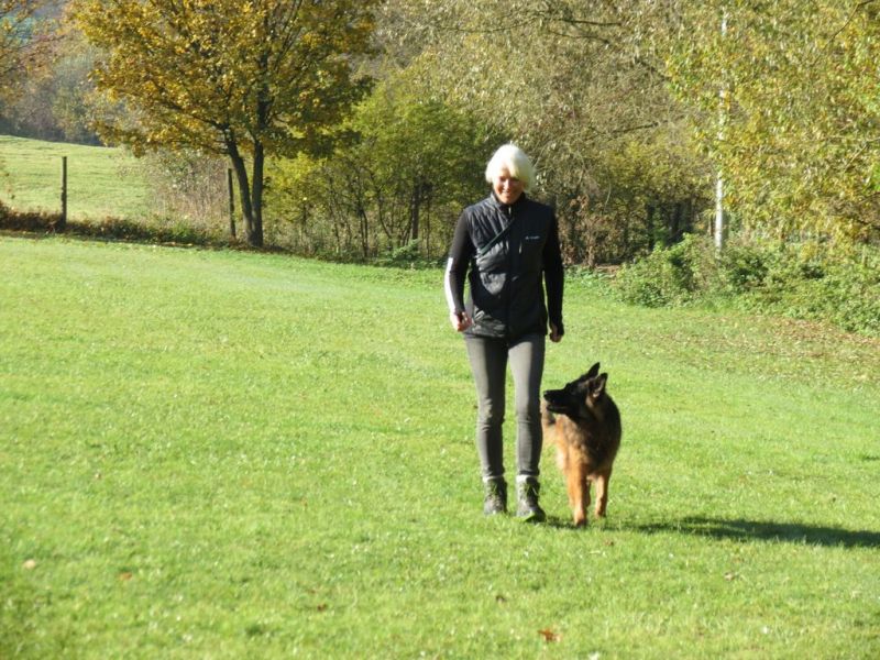 Begleithundeprüfung Herbst 2015
