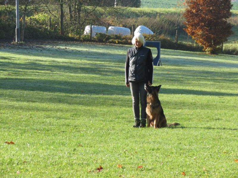Begleithundeprüfung Herbst 2015