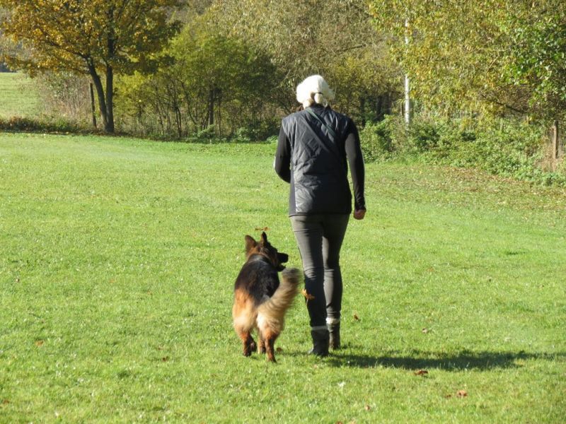 Begleithundeprüfung Herbst 2015
