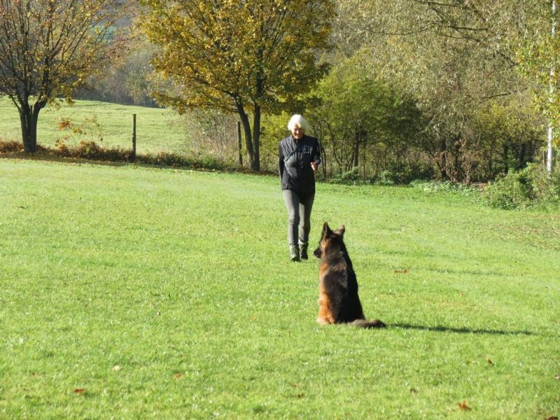 Begleithundeprüfung Herbst 2015