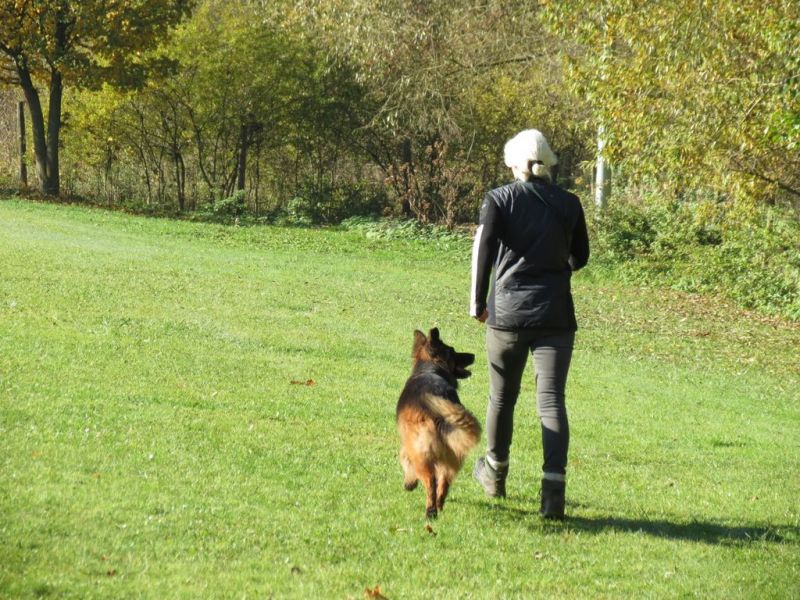 Begleithundeprüfung Herbst 2015