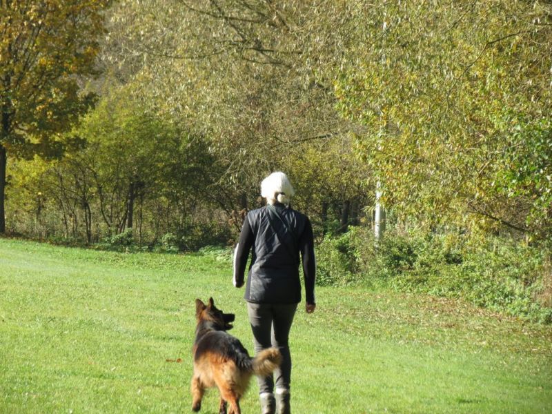 Begleithundeprüfung Herbst 2015