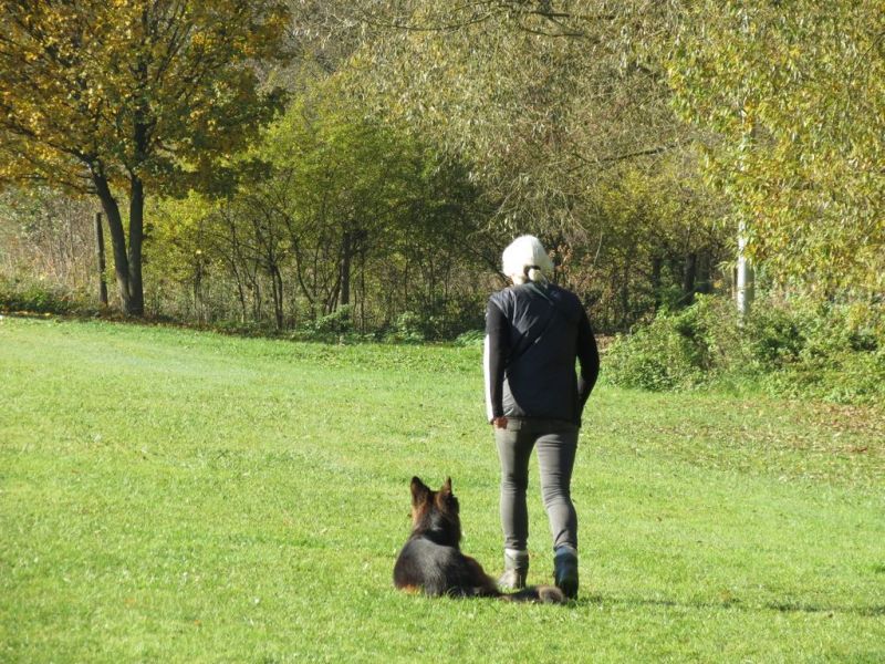 Begleithundeprüfung Herbst 2015