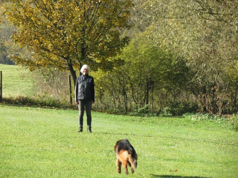 Begleithundeprüfung Herbst 2015