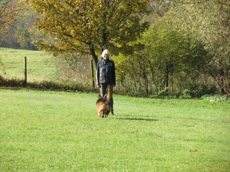 Begleithundeprüfung Herbst 2015