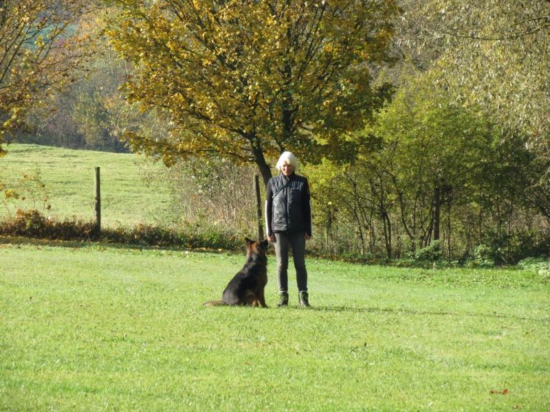 Begleithundeprüfung Herbst 2015