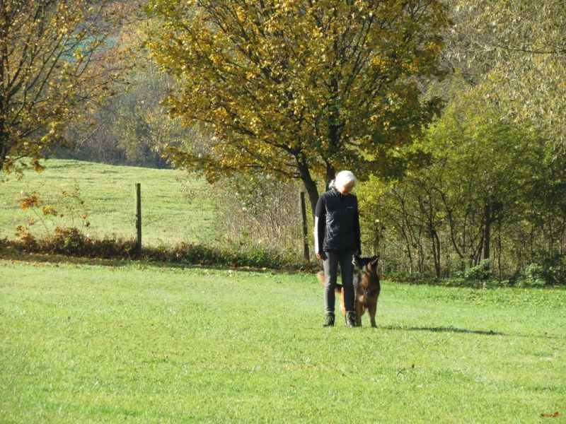 Begleithundeprüfung Herbst 2015