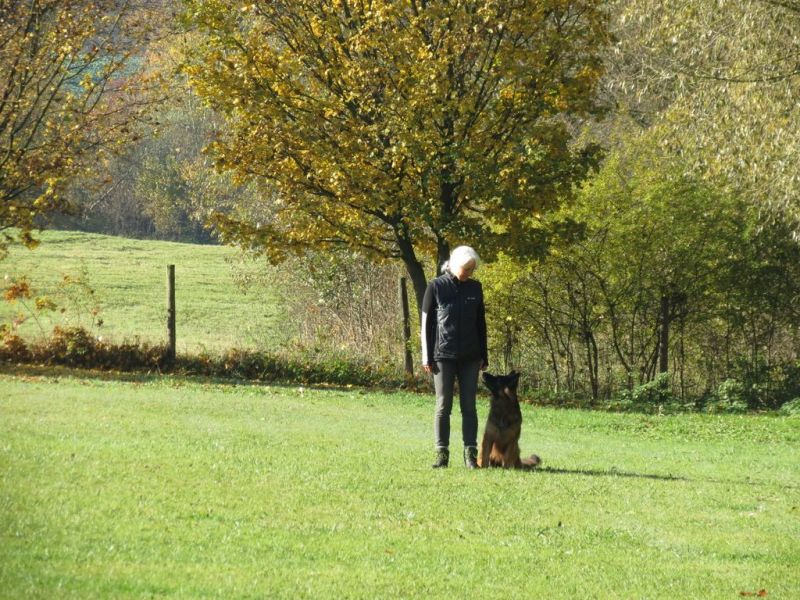 Begleithundeprüfung Herbst 2015
