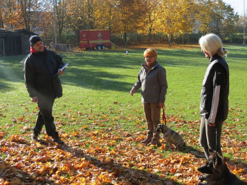 Begleithundeprüfung Herbst 2015