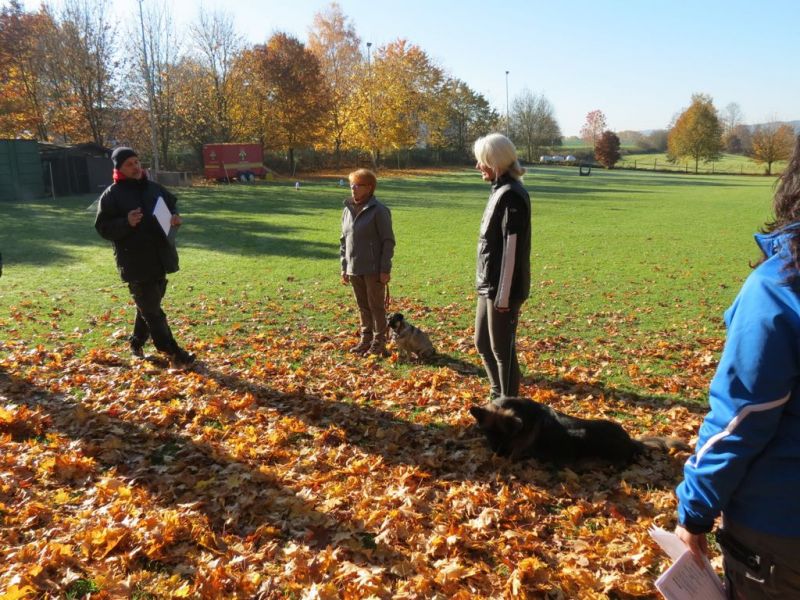 Begleithundeprüfung Herbst 2015