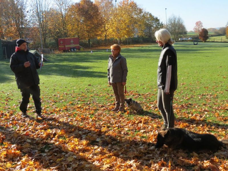 Begleithundeprüfung Herbst 2015