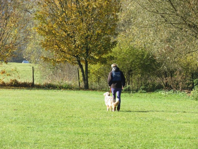 Begleithundeprüfung Herbst 2015