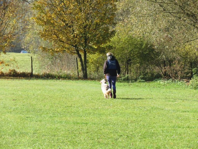 Begleithundeprüfung Herbst 2015