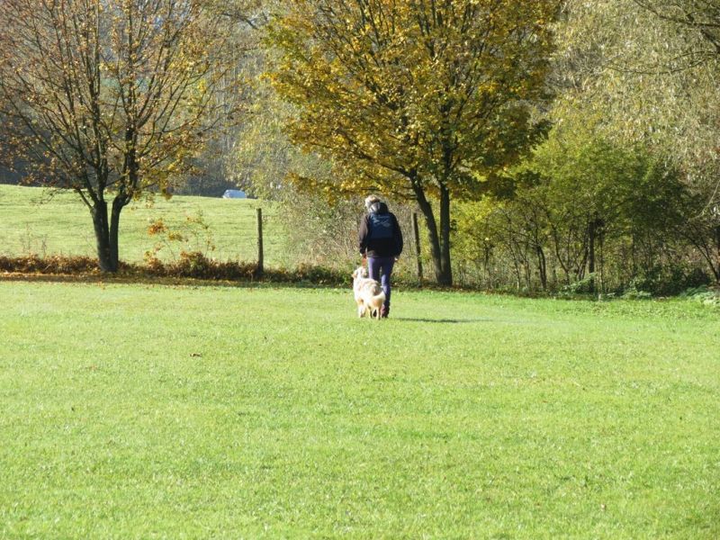 Begleithundeprüfung Herbst 2015
