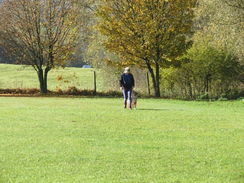Begleithundeprüfung Herbst 2015
