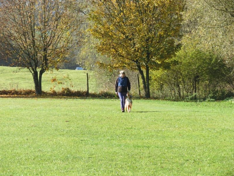 Begleithundeprüfung Herbst 2015