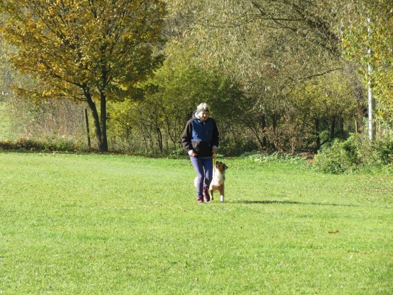 Begleithundeprüfung Herbst 2015