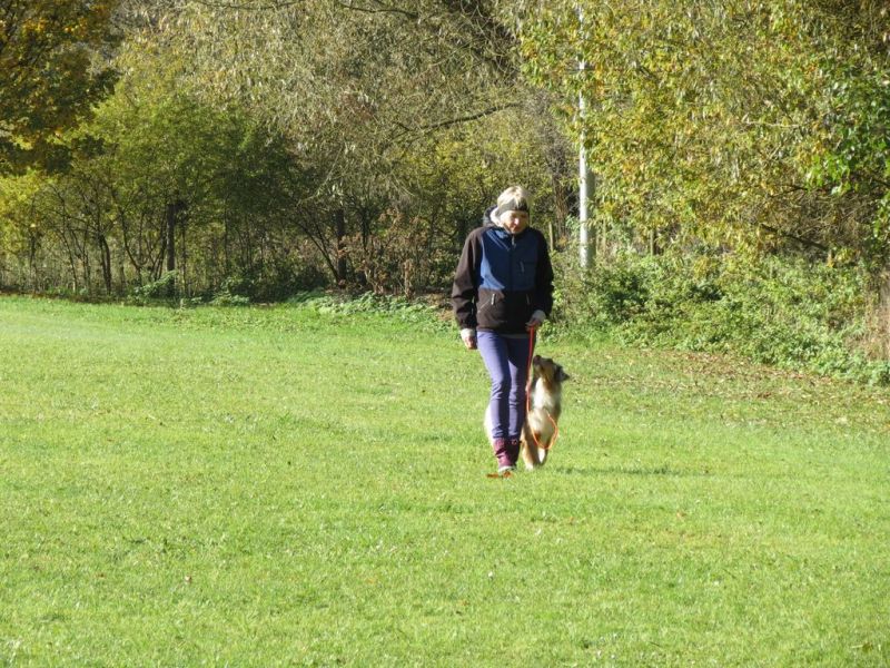 Begleithundeprüfung Herbst 2015