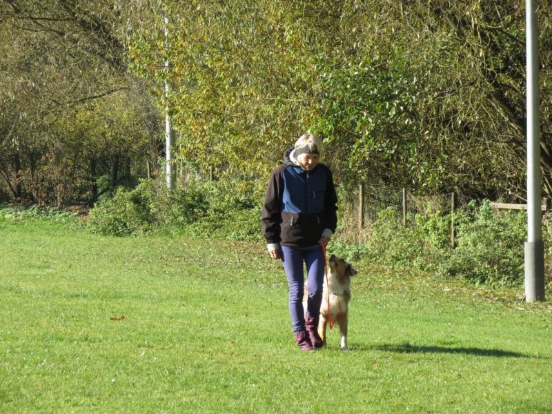 Begleithundeprüfung Herbst 2015