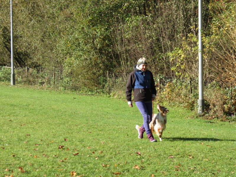 Begleithundeprüfung Herbst 2015