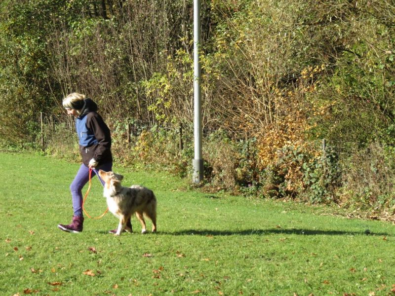 Begleithundeprüfung Herbst 2015