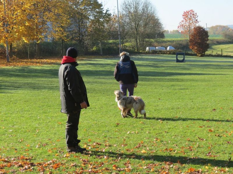 Begleithundeprüfung Herbst 2015