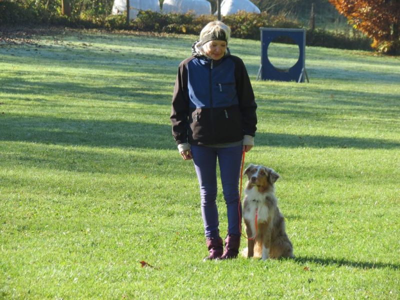 Begleithundeprüfung Herbst 2015