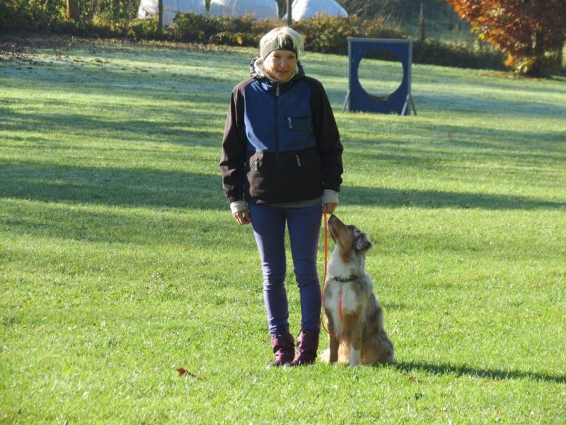 Begleithundeprüfung Herbst 2015