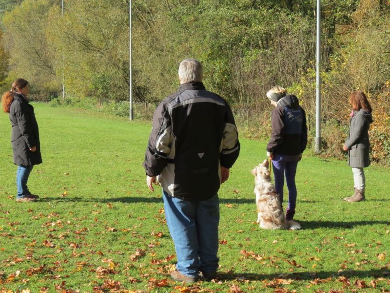 Begleithundeprüfung Herbst 2015