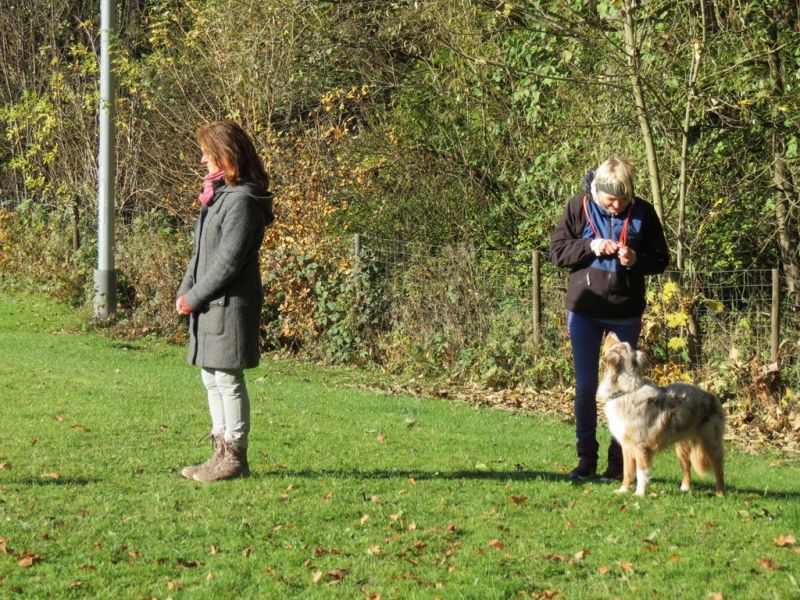 Begleithundeprüfung Herbst 2015
