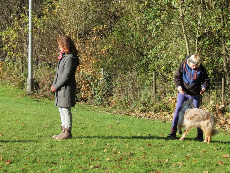 Begleithundeprüfung Herbst 2015