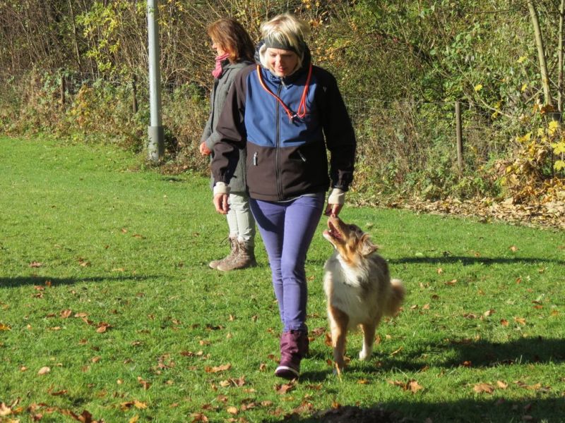 Begleithundeprüfung Herbst 2015