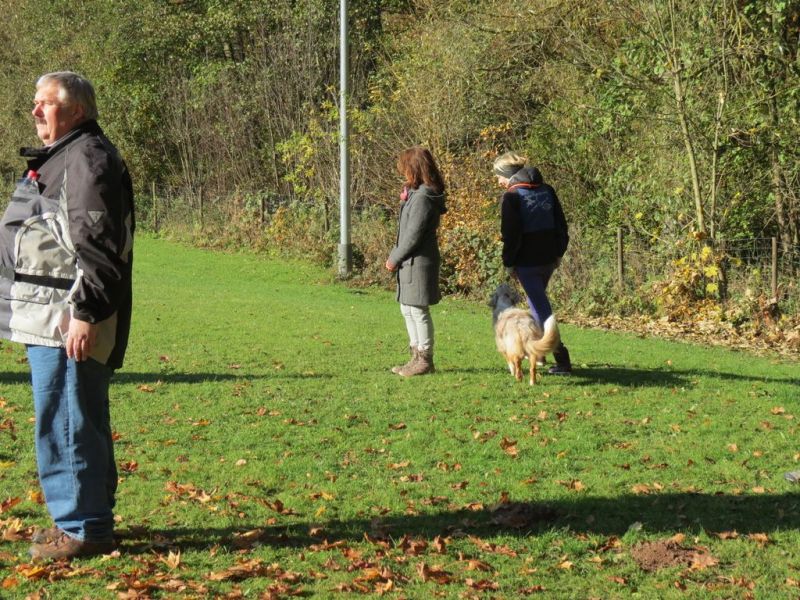 Begleithundeprüfung Herbst 2015