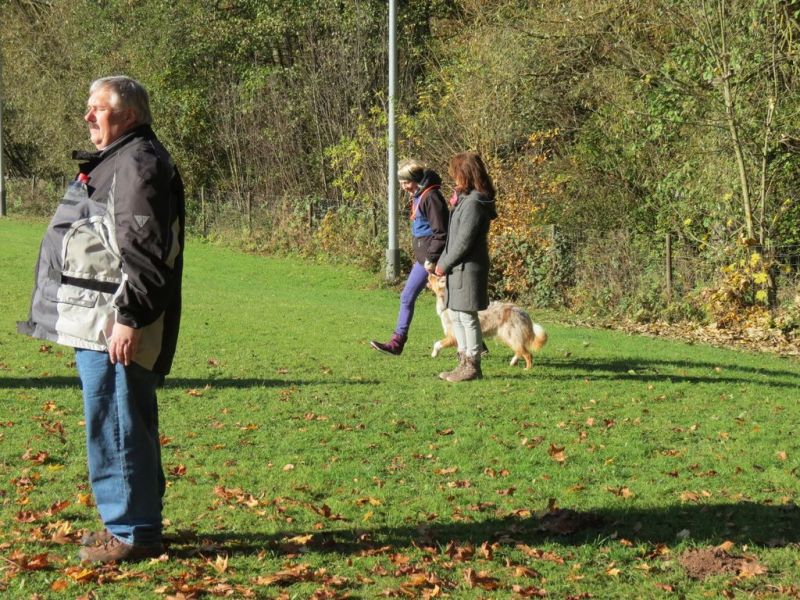 Begleithundeprüfung Herbst 2015