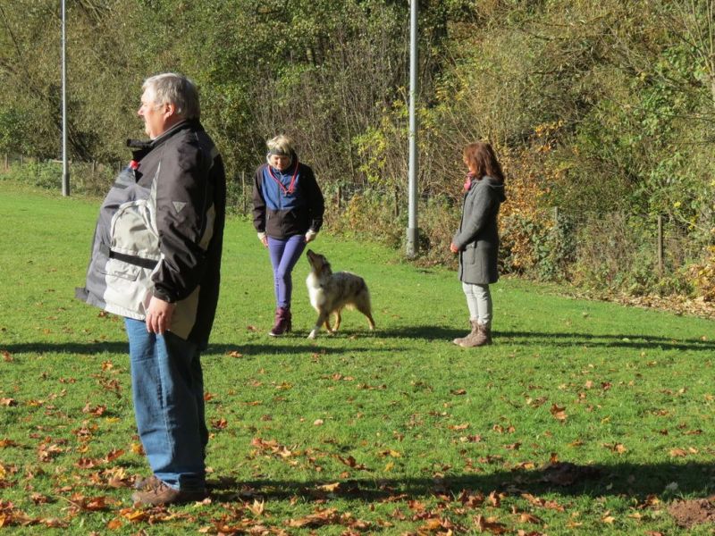 Begleithundeprüfung Herbst 2015