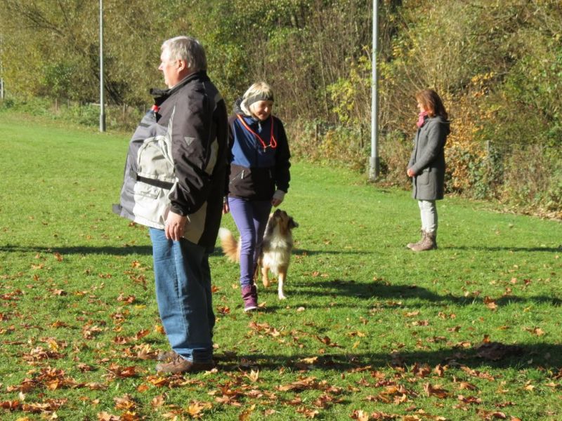 Begleithundeprüfung Herbst 2015