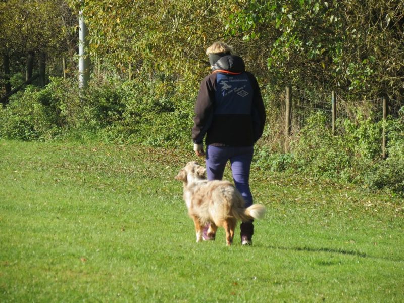 Begleithundeprüfung Herbst 2015