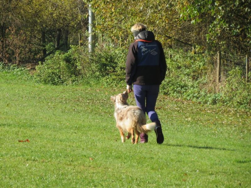 Begleithundeprüfung Herbst 2015