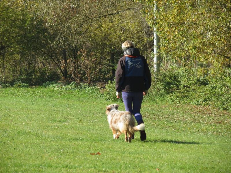Begleithundeprüfung Herbst 2015