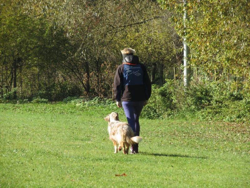 Begleithundeprüfung Herbst 2015