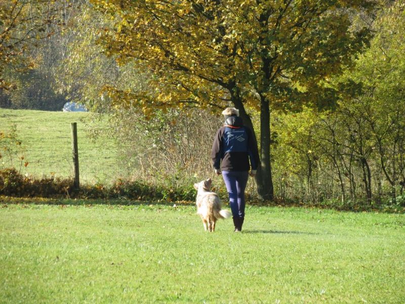 Begleithundeprüfung Herbst 2015
