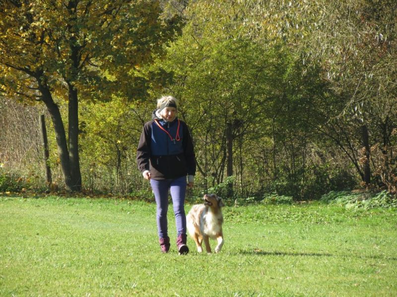 Begleithundeprüfung Herbst 2015