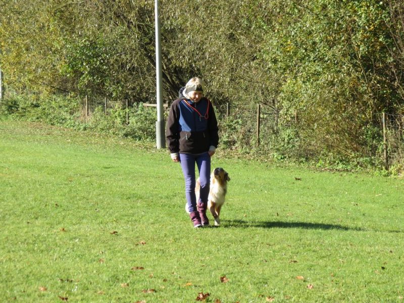Begleithundeprüfung Herbst 2015