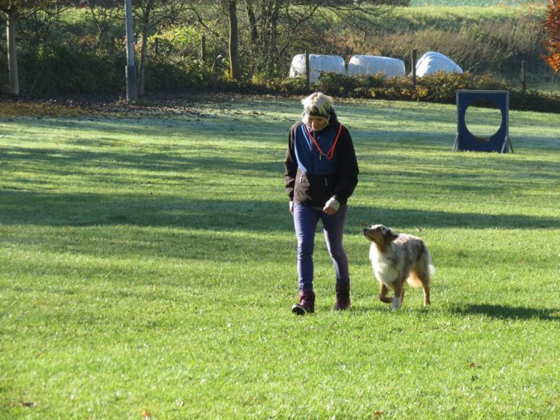 Begleithundeprüfung Herbst 2015