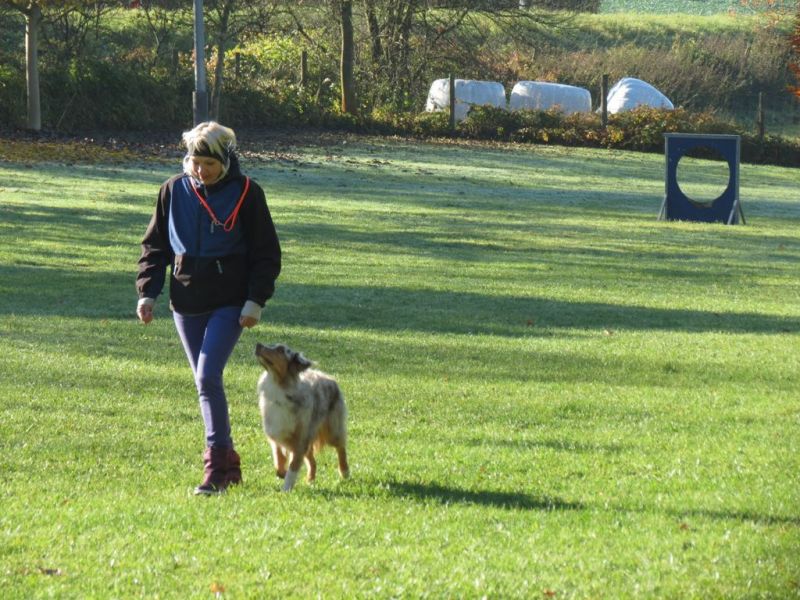 Begleithundeprüfung Herbst 2015