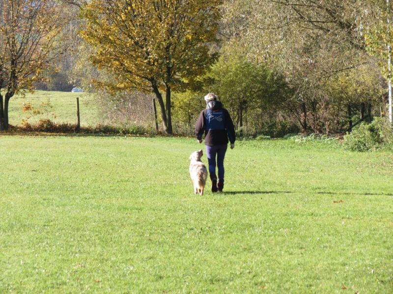 Begleithundeprüfung Herbst 2015
