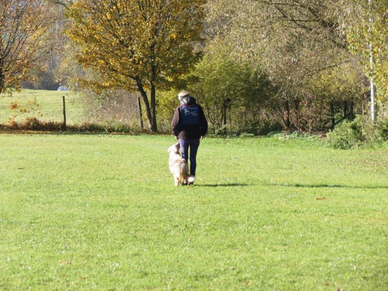 Begleithundeprüfung Herbst 2015