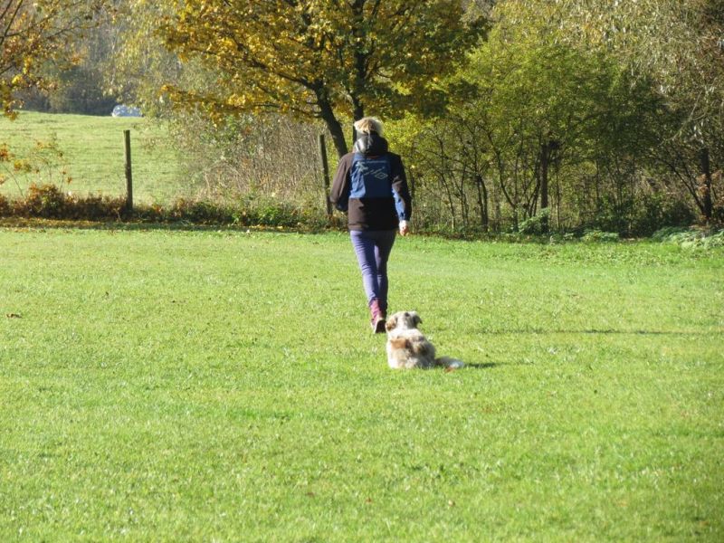 Begleithundeprüfung Herbst 2015